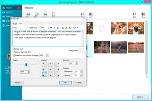 Light Image Resizer 6.1.7.1 With Patch Easy  Latest Download 2023